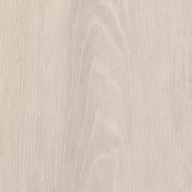 Iced Oak, SS5W3310