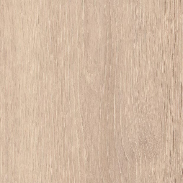 Powdered Oak, SS5W3311