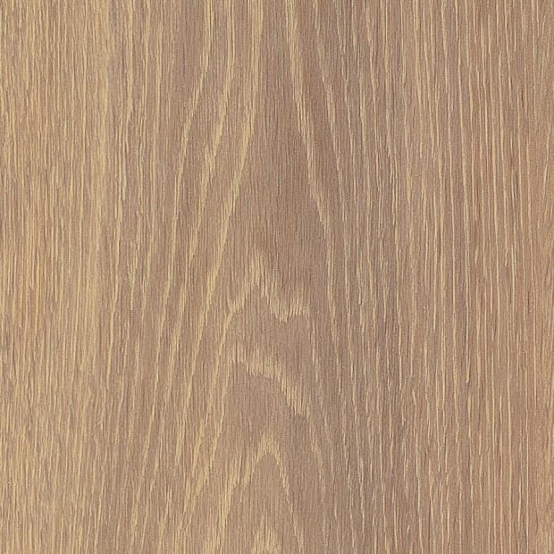 Mulled Oak, SS5W3313