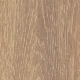 Mulled Oak, SS5W3313