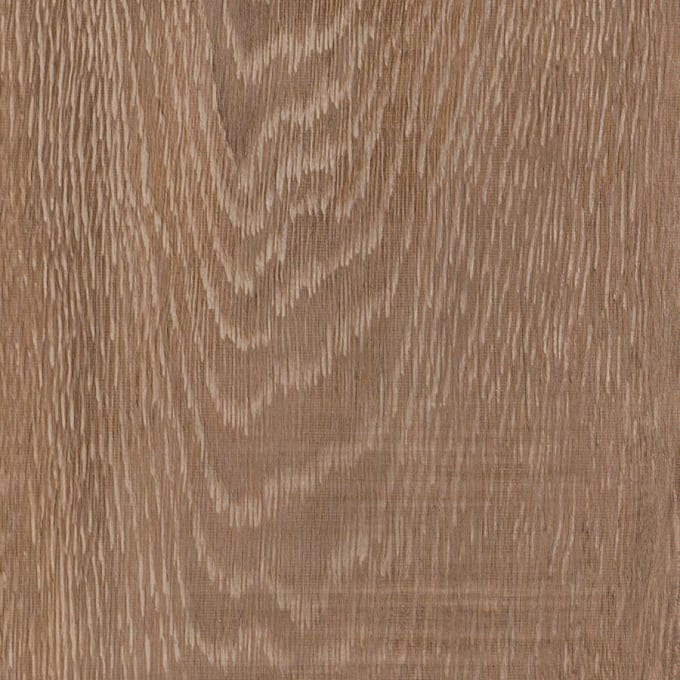 Malthouse Oak, SS5W3315