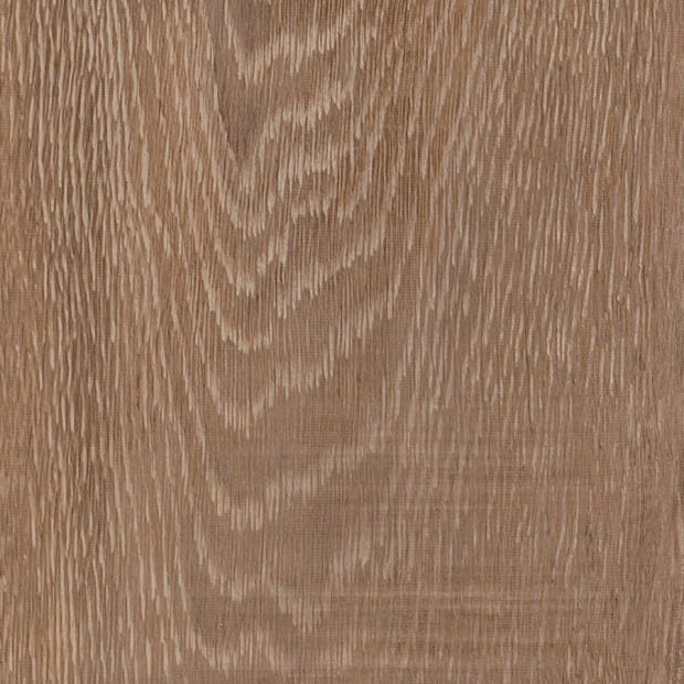 Malthouse Oak, SS5W3315
