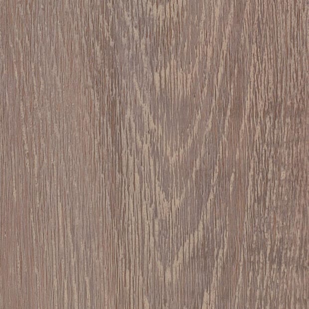 Carriage Oak, SS5W3316