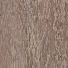 Carriage Oak, SS5W3316